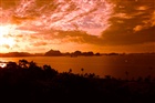 dailyPhoto9